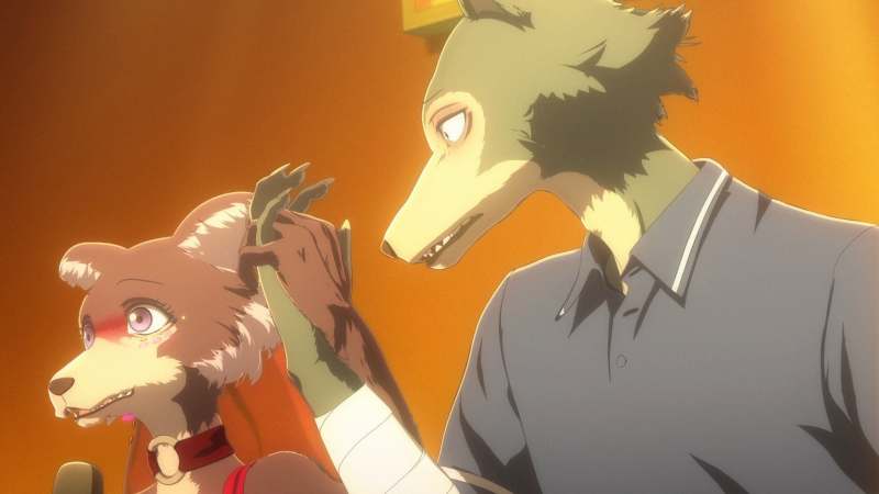 El anime de ‘BEASTARS’ tendrá nuevo arco El anime de ‘BEASTARS’ tendrá nuevo arco