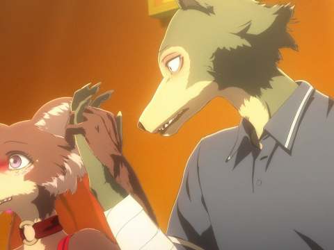 El anime de ‘BEASTARS’ tendrá nuevo arco El anime de ‘BEASTARS’ tendrá nuevo arco