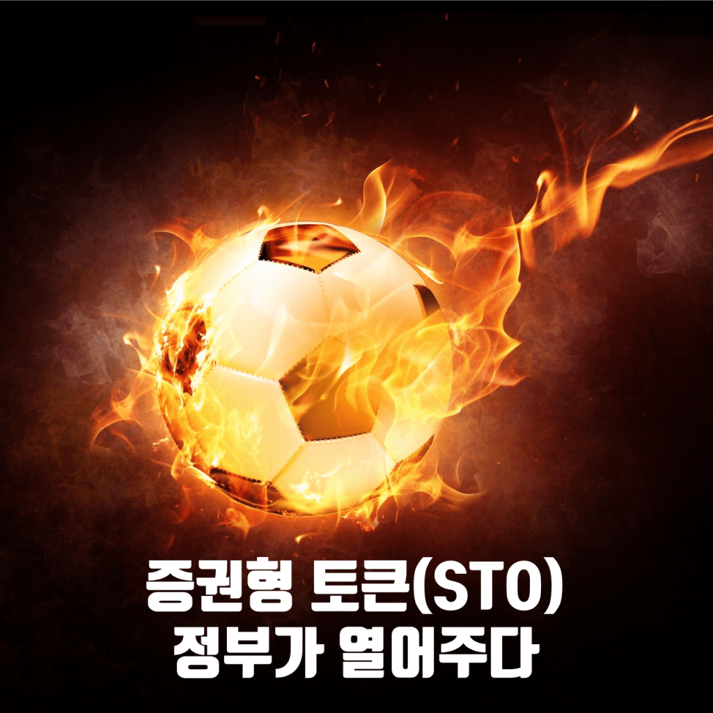 대한민국 정부, 선진국 중에서 가장 빨리 선제적 STO 제도화 시도 대한민국 정부, 선진국 중에서 가장 빨리 선제적 STO 제도화 시도