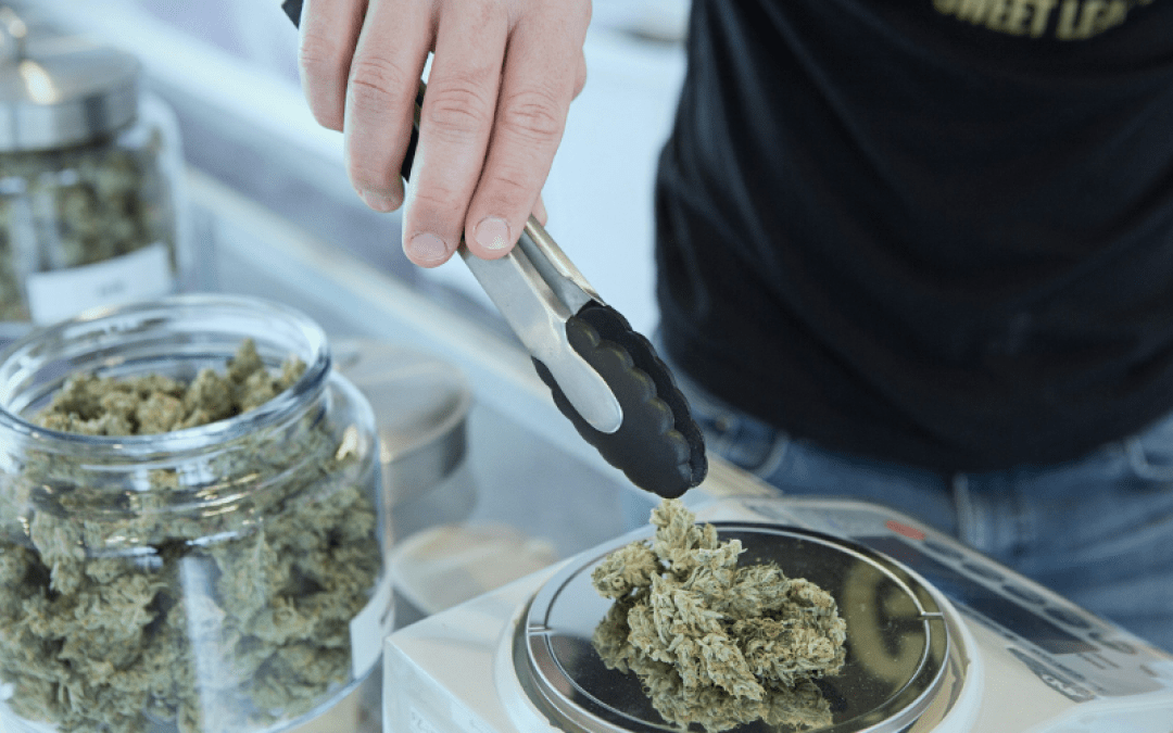 The Cannabis Testing Gold Standard The Cannabis Testing Gold Standard
