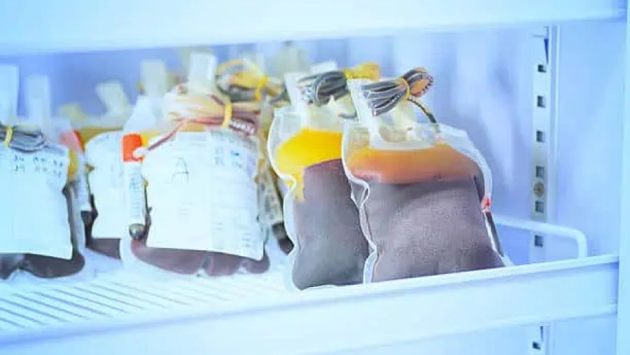 U.S. Blood Bank Refrigerators Market Momentum: Size, Share, and Growth Dynamics in 2035 U.S. Blood Bank Refrigerators Market Momentum: Size, Share, and Growth Dynamics in 2035