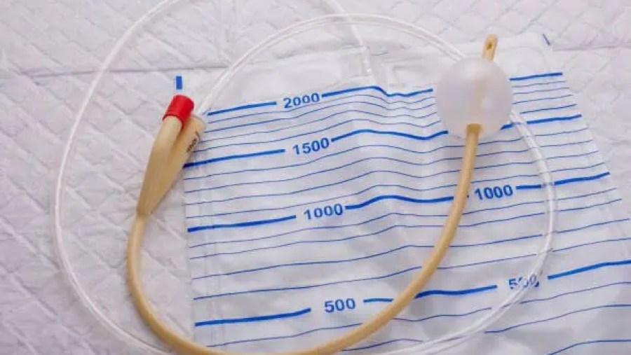 Japan Catheters Market Spotlight: Size, Share, and Growth Trends Explored through 2035 Japan Catheters Market Spotlight: Size, Share, and Growth Trends Explored through 2035