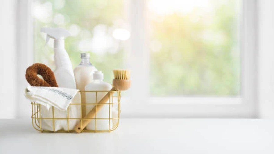 Japan Natural Household Cleaners Market Outlook 2035: Size, Share, and Growth Insights Revealed Japan Natural Household Cleaners Market Outlook 2035: Size, Share, and Growth Insights Revealed