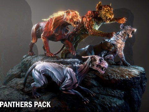 Panthers pack (4.25+)VIP Panthers pack (4.25+)VIP