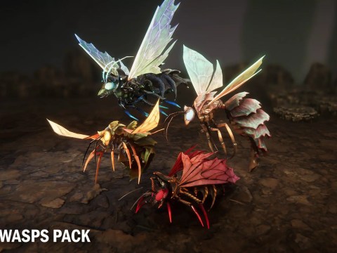 Wasps pack (4.26+) Wasps pack (4.26+)