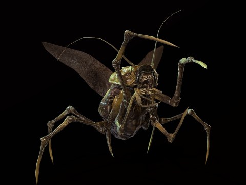 Land Bug 1 (4.18+)VIP Land Bug 1 (4.18+)VIP