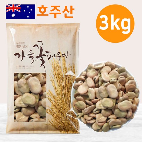 큰나무 자이언트 파바빈 대용량 4kg 공식 수입사 직판, 2개