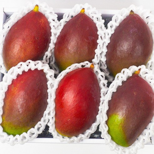 항공직송 애플망고 고당도 프리미엄 망고 브라질 망고 5-6입/2kg, 무지박스포장, 1개
