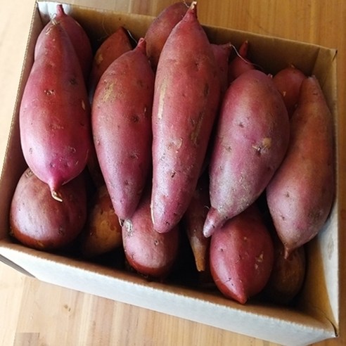 해남 황토 베니하루카 꿀고구마 3kg5kg10kg 황금호박고구마, 1박스, 꿀고구마5kg(특상)개당100g-300g