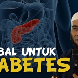Resep Diabetes Zaidul Akbar: Panduan Lengkap Mengelola Gula Darah Resep Diabetes Zaidul Akbar: Panduan Lengkap Mengelola Gula Darah