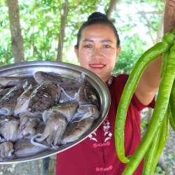 Resep Cumi Cabe Ijo Sederhana: Nikmat Pedas Gurih Resep Cumi Cabe Ijo Sederhana: Nikmat Pedas Gurih