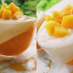 Resep Puding Susu Nutrijell Mangga yang Lezat dan Menyegarkan Resep Puding Susu Nutrijell Mangga yang Lezat dan Menyegarkan