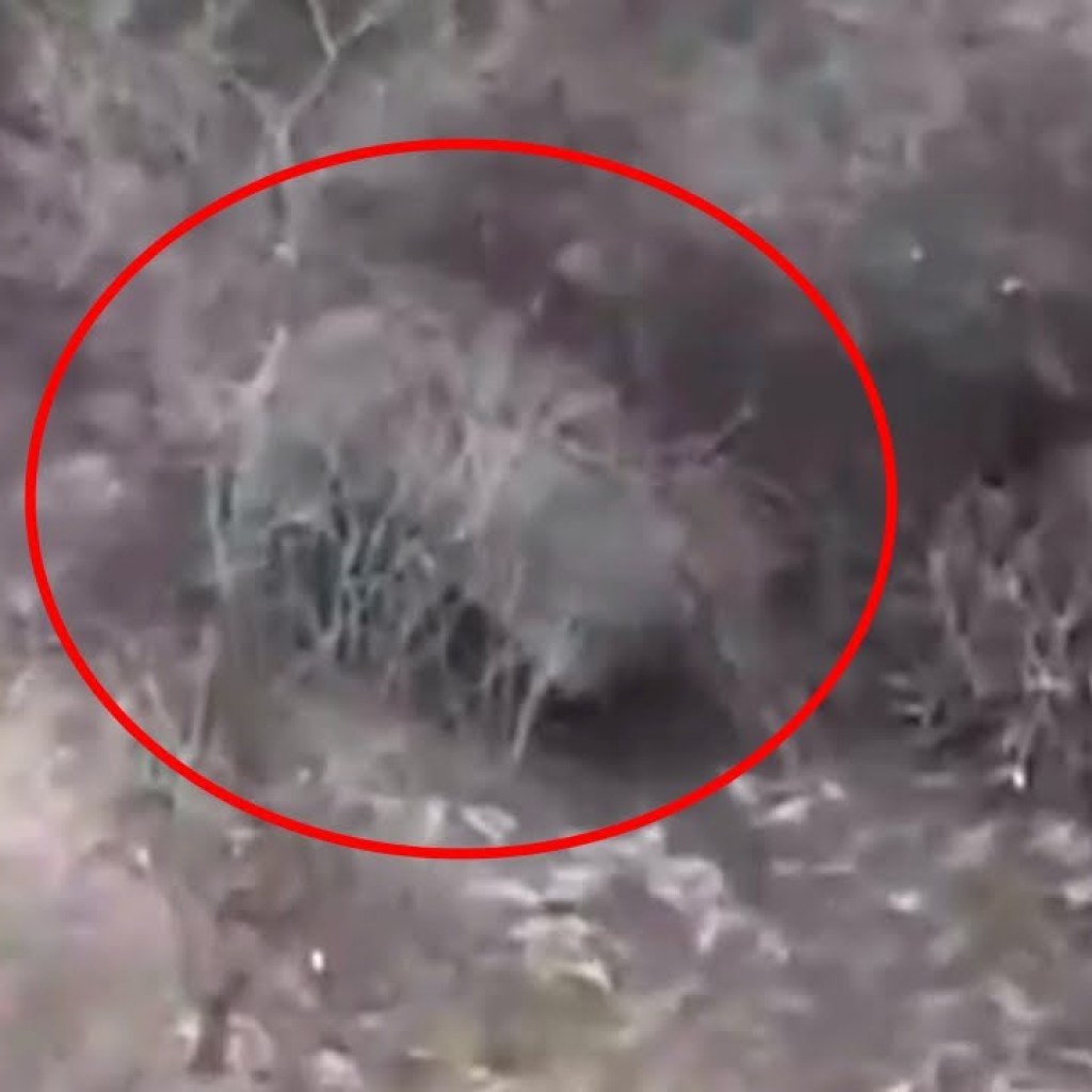 Hidden BM-21 Grad Blow Up With Rockets After Drone Strike Hidden BM-21 Grad Blow Up With Rockets After Drone Strike