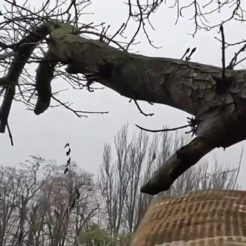 A border guard destroyed a kamikaze drone in the Zaporozhye direction A border guard destroyed a kamikaze drone in the Zaporozhye direction