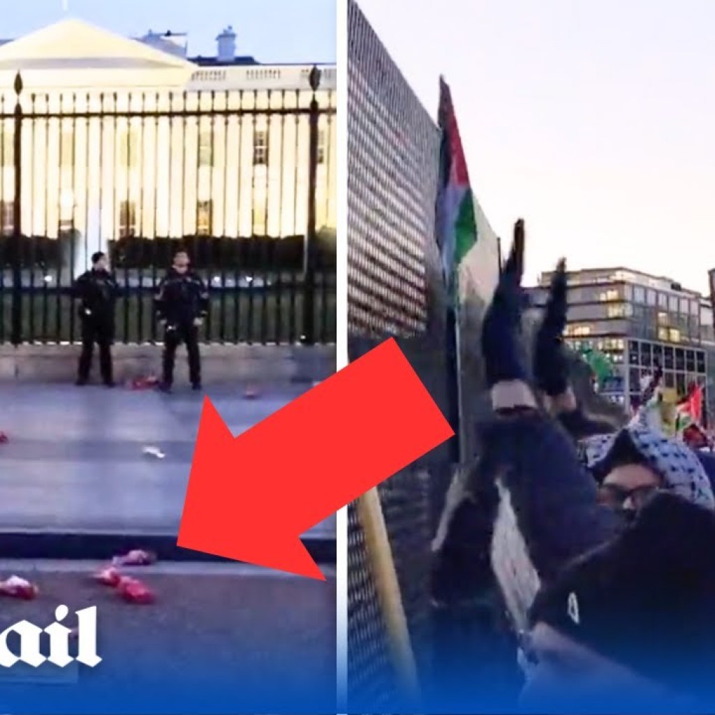 Pro-Palestine protesters descend on the White House Pro-Palestine protesters descend on the White House