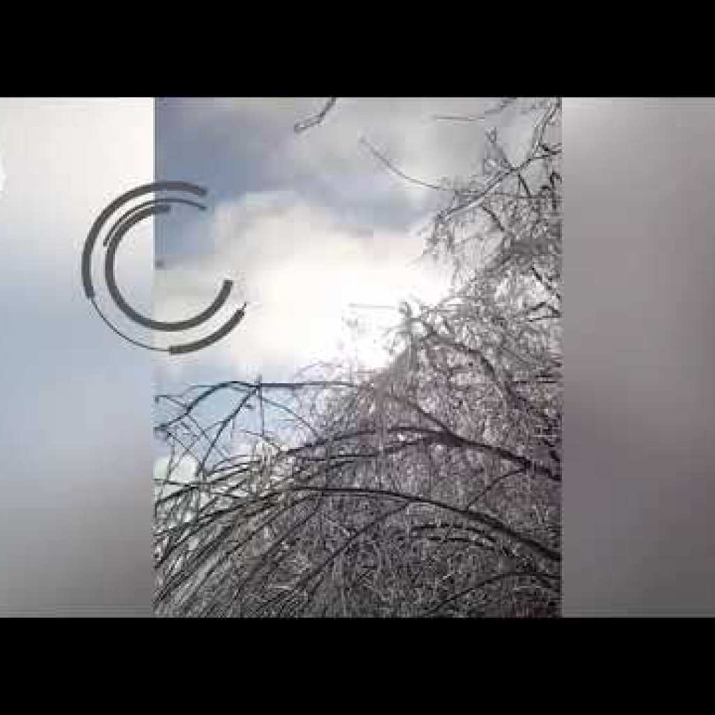 Soldiers of the anti-aircraft missile and artillery division of the 47th OMBr landed the Russian drone “ZALA” Soldiers of the anti-aircraft missile and artillery division of the 47th OMBr landed the Russian drone “ZALA”