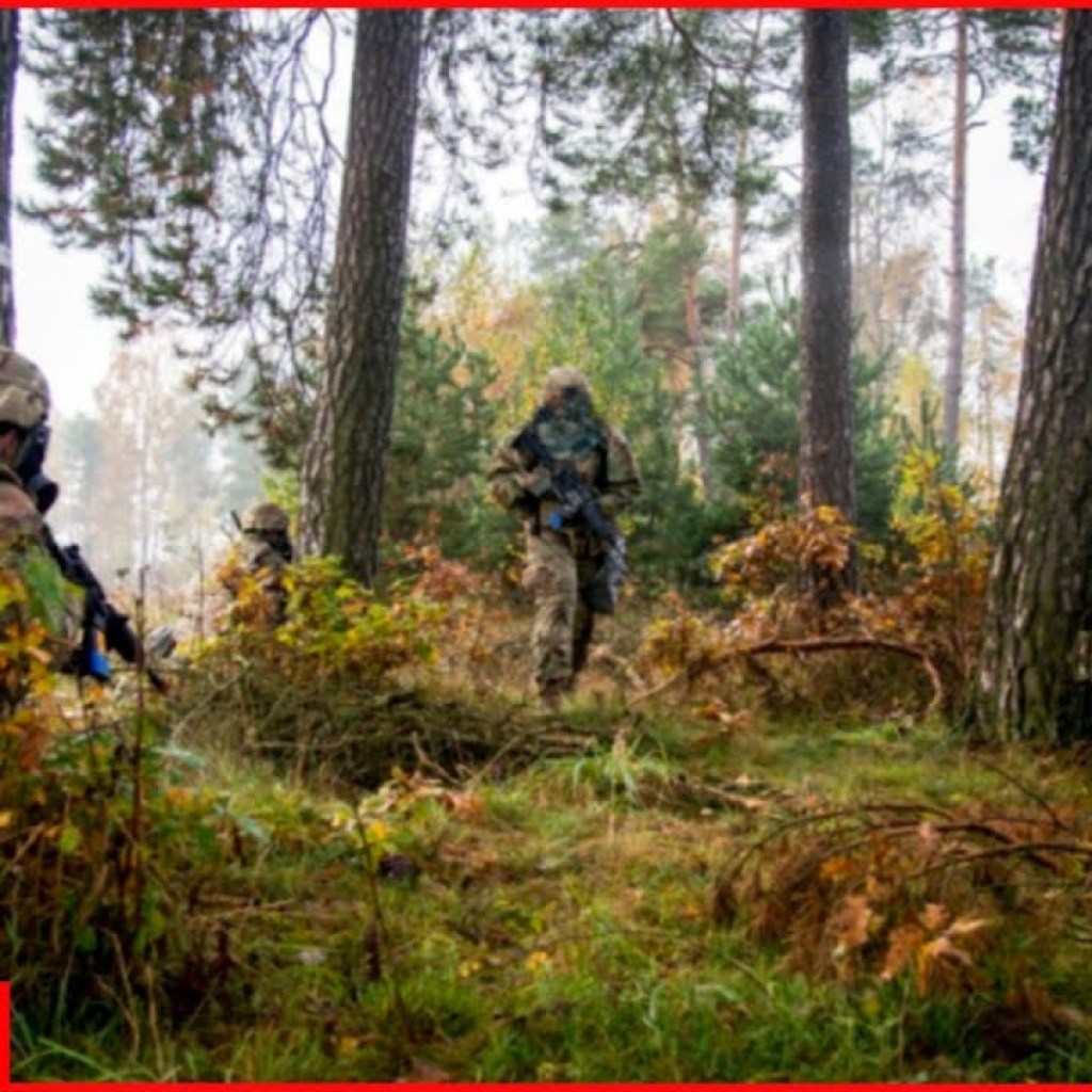 Combat footage of “Azov” regiment’s fighters in Kremennaya forests Combat footage of “Azov” regiment’s fighters in Kremennaya forests