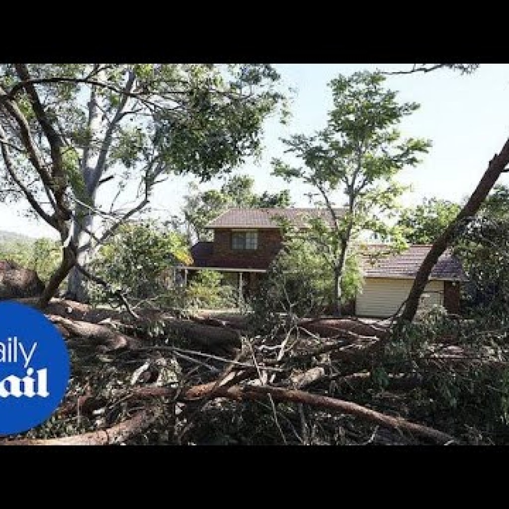 Australian family fights to hold down caravan shelter during storm in Helensvale area Australian family fights to hold down caravan shelter during storm in Helensvale area