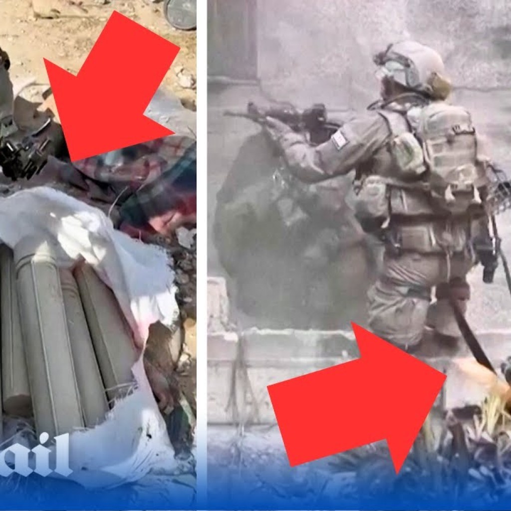 Brave IDF war dog finds Hamas weapons as the war reaches 100 days since the October 7th attacks Brave IDF war dog finds Hamas weapons as the war reaches 100 days since the October 7th attacks