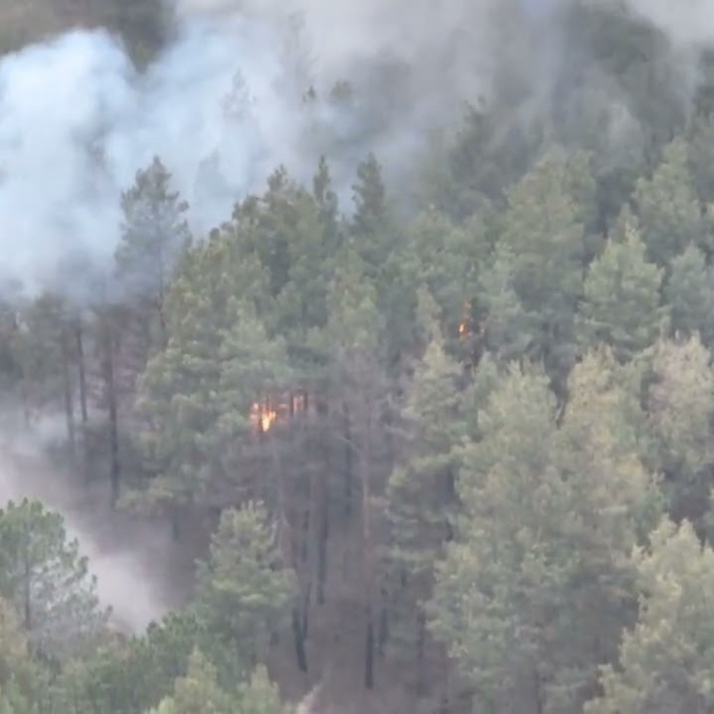 Detection and destruction of the occupiers' ammunition for the BM-21 “Grad” Detection and destruction of the occupiers' ammunition for the BM-21 “Grad”