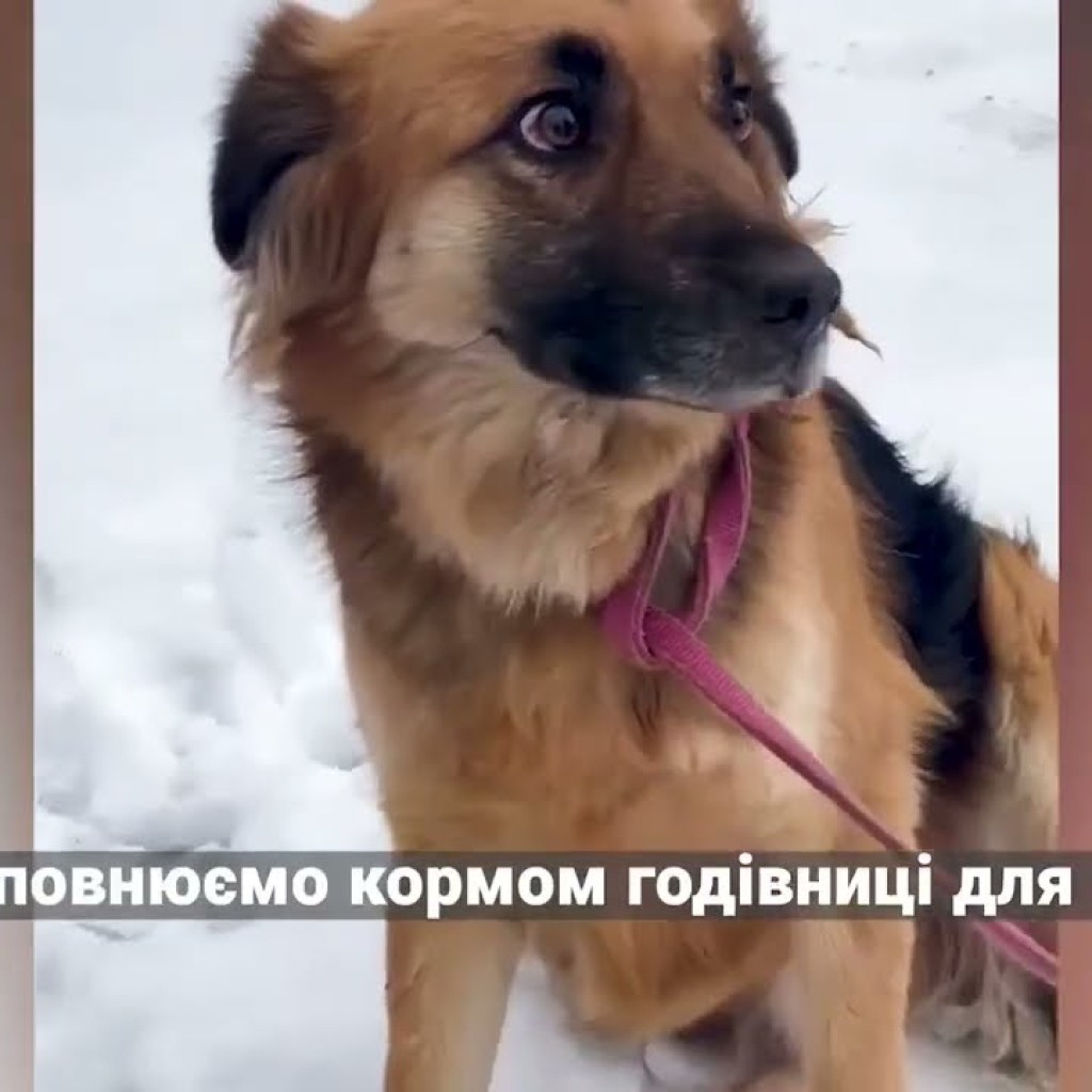 The Kyiv City Military Administration supports combat units in eastern Ukraine The Kyiv City Military Administration supports combat units in eastern Ukraine