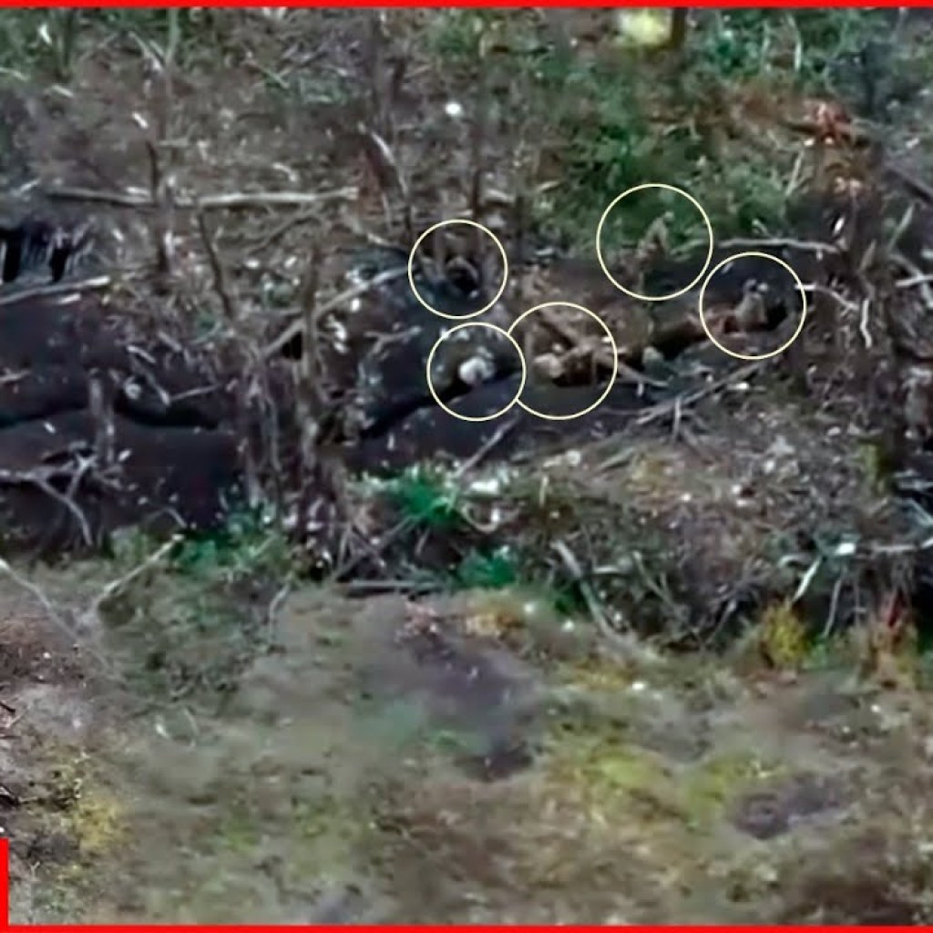 Invaders are targeted by a drone while running through forest Invaders are targeted by a drone while running through forest