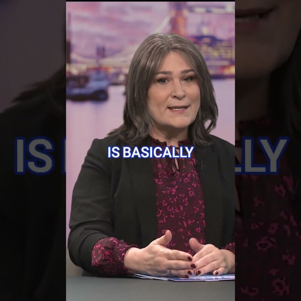 ‘Polarised politics is useless!’ Sarah Vine comments on ‘division’ in Britain ‘Polarised politics is useless!’ Sarah Vine comments on ‘division’ in Britain