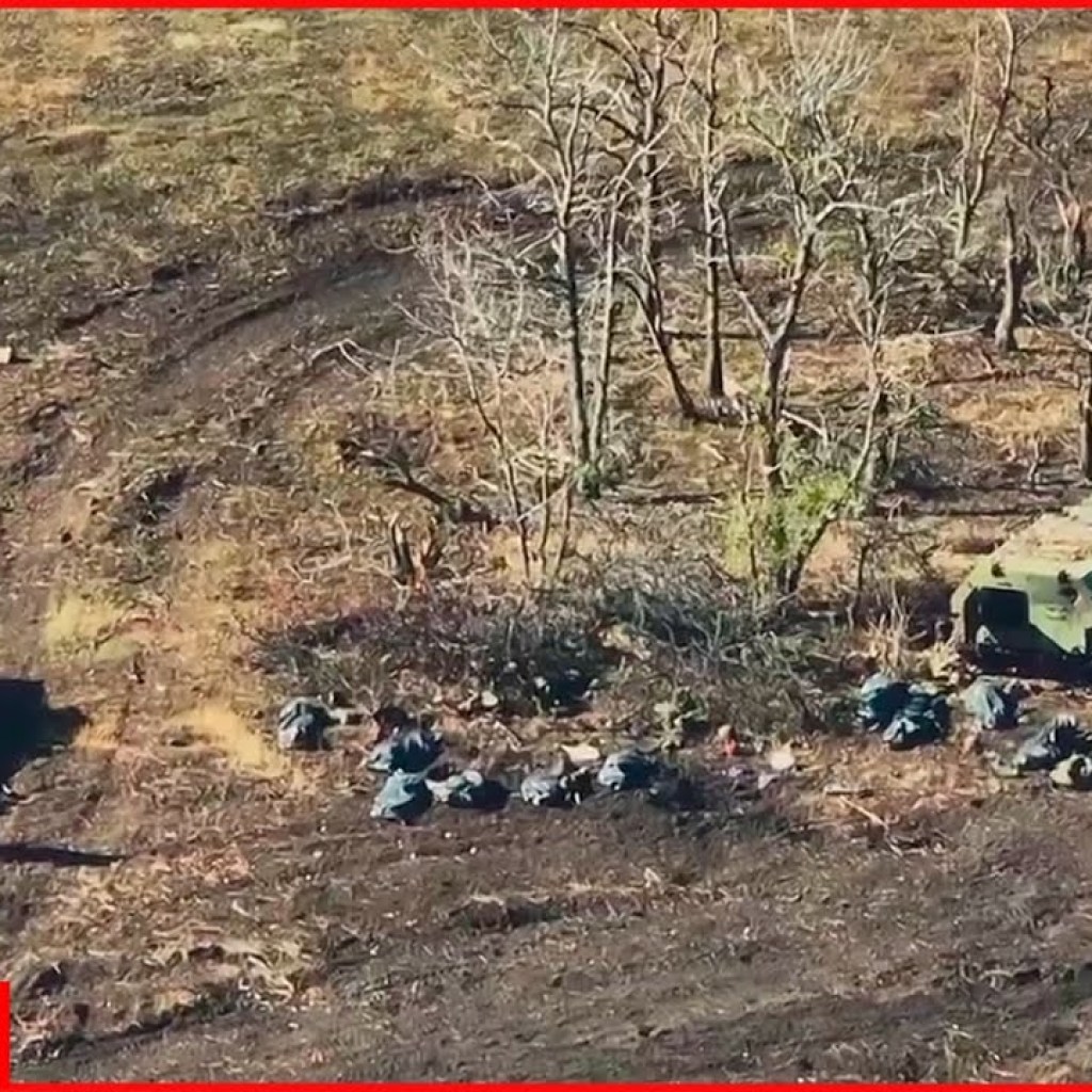 “Packaged” in black bags, Russian soldiers are left in battlefield “Packaged” in black bags, Russian soldiers are left in battlefield