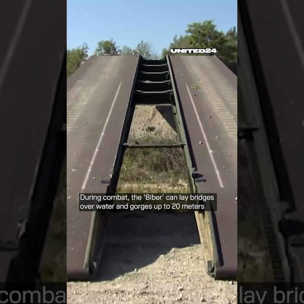 ?? ‘Biber’ in Ukraine. Unique vehicle based on the Leopard 1 tank #counteroffensive #warinukraine ?? ‘Biber’ in Ukraine. Unique vehicle based on the Leopard 1 tank #counteroffensive #warinukraine