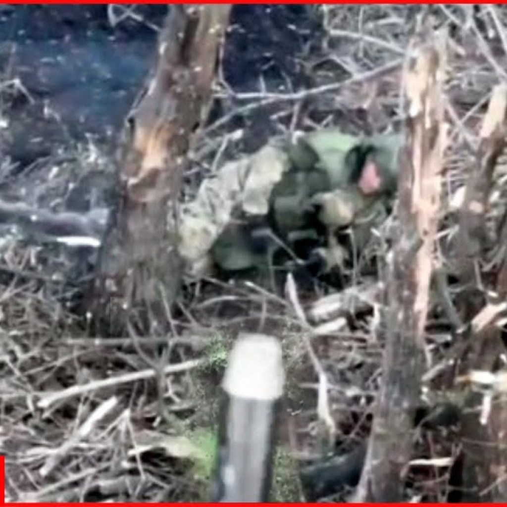 Kamikaze drone operator attacks Russian soldier hiding behind a tree Kamikaze drone operator attacks Russian soldier hiding behind a tree