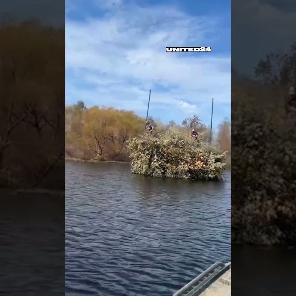 ?? Camouflage as an ART ? #warinukraine #counteroffensive #shorts ?? Camouflage as an ART ? #warinukraine #counteroffensive #shorts