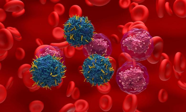 Porton Advanced and EVA Pharma collaborate on automotive T cell therapy Porton Advanced and EVA Pharma collaborate on automotive T cell therapy