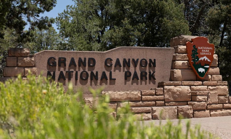 Donald Trump Donald Trump