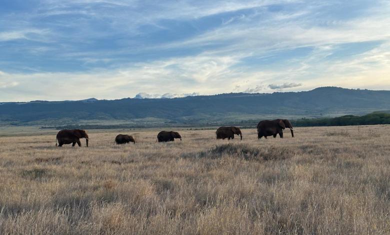 These African safaris are different from anyone I've done before These African safaris are different from anyone I've done before