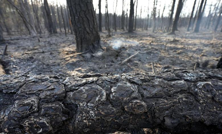 Spread like “Napalm” and now only 13,500 acres Spread like “Napalm” and now only 13,500 acres