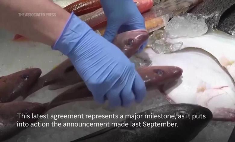 Japan says China will resume Fukushima water discharge, where Japanese seafood imports have stopped Japan says China will resume Fukushima water discharge, where Japanese seafood imports have stopped