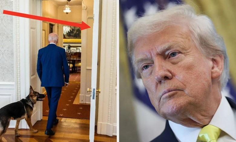 People just noticed what Donald Trump would do with the Oval Office door, and they weren’t happy with it People just noticed what Donald Trump would do with the Oval Office door, and they weren’t happy with it