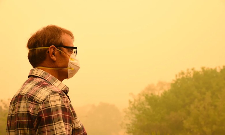 Wildfire Smoke Causes Air Quality Slump All Over Canada – 8 Best AHAM Certified Air Purifiers in 2025 Wildfire Smoke Causes Air Quality Slump All Over Canada – 8 Best AHAM Certified Air Purifiers in 2025