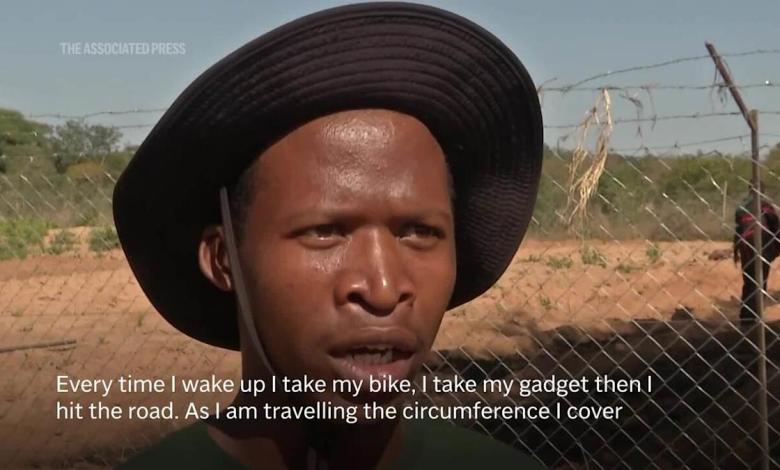 Zimbabwe is full of elephants and conflicts with villagers are growing. A new approach hope helps Zimbabwe is full of elephants and conflicts with villagers are growing. A new approach hope helps