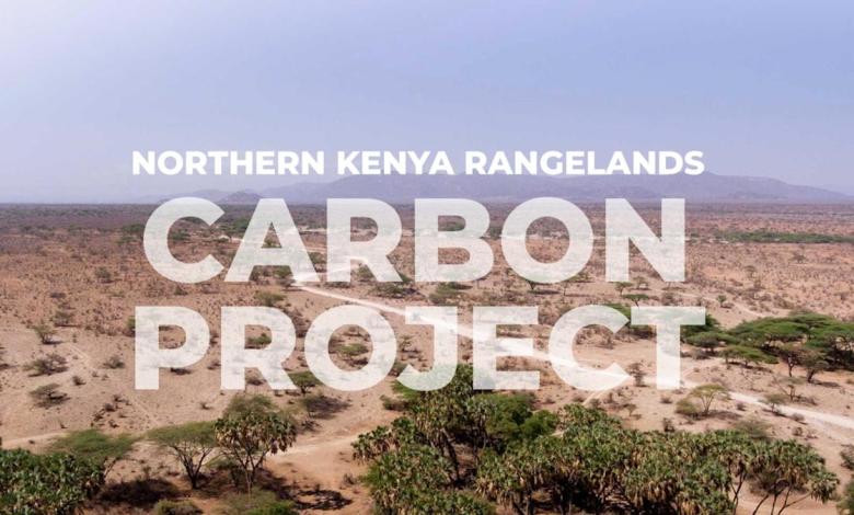 One of the carbon credit sources in the technology industry is conflict with Kenyan herders One of the carbon credit sources in the technology industry is conflict with Kenyan herders