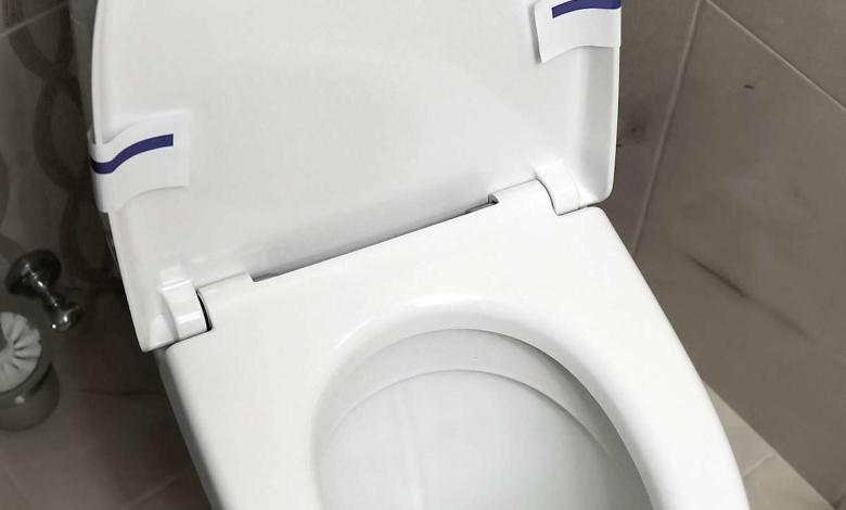 The homeowner woke up at 2 a.m. and found the snake slipping into the sewage pipe and had to force the reptiles through the toilet The homeowner woke up at 2 a.m. and found the snake slipping into the sewage pipe and had to force the reptiles through the toilet