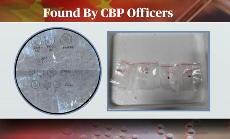 The smuggling case of toxic fungi highlights safety issues facing research laboratories The smuggling case of toxic fungi highlights safety issues facing research laboratories