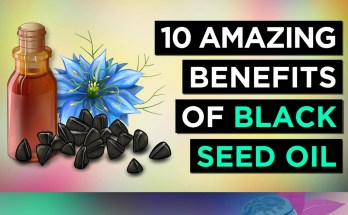 The Comprehensive Guide to Black Seed Oil: 10 Evidence-Based Health Benefits The Comprehensive Guide to Black Seed Oil: 10 Evidence-Based Health Benefits