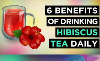 Hibiscus Tea: 6 Remarkable Health Benefits for Your Daily Wellness Routine Hibiscus Tea: 6 Remarkable Health Benefits for Your Daily Wellness Routine