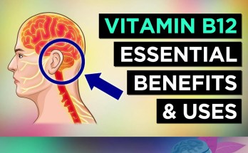 The Ultimate Guide to Vitamin B12: 10 Key Benefits for Your Health The Ultimate Guide to Vitamin B12: 10 Key Benefits for Your Health