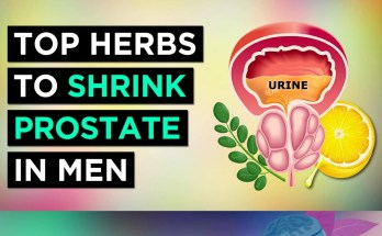 Natural Remedies for Enlarged Prostate: Top Herbs to Manage BPH Symptoms Natural Remedies for Enlarged Prostate: Top Herbs to Manage BPH Symptoms