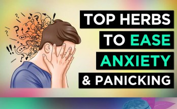 8 Natural Remedies for Anxiety and Panic Attacks: Herbs That Help 8 Natural Remedies for Anxiety and Panic Attacks: Herbs That Help
