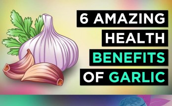 6 Incredible Health Benefits and Uses of Garlic You Need to Know 6 Incredible Health Benefits and Uses of Garlic You Need to Know