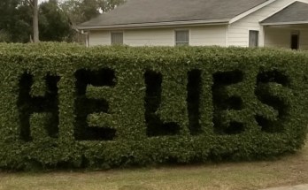 He Lies” Was Carved Into My Hedge—What I Discovered Next Shattered Me He Lies” Was Carved Into My Hedge—What I Discovered Next Shattered Me