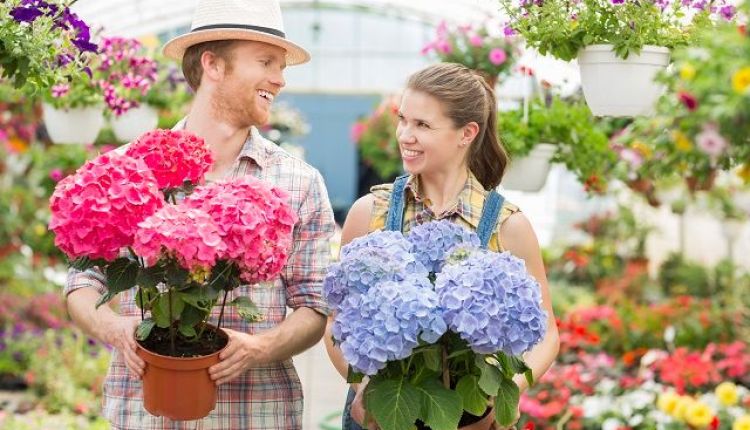 Choosing The Best Flowers To Say Congratulations To Choosing The Best Flowers To Say Congratulations To